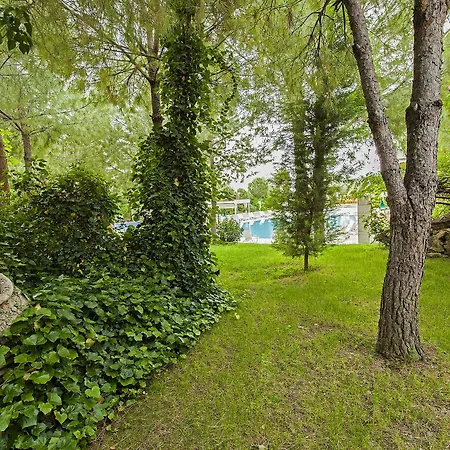 Polat Thermal 5*