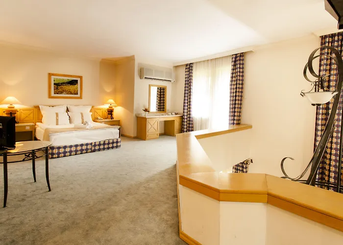 Hotel Polat Thermal 5*